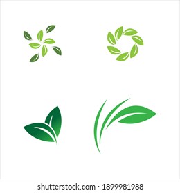 plantilla de diseño de ilustración vectorial de logotipo de hoja