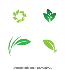 plantilla de diseño de ilustración vectorial de logotipo de hoja