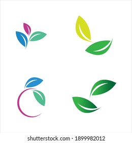 leaf logo vector illustration  design template
