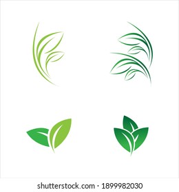 leaf logo vector illustration  design template