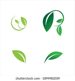 leaf logo vector illustration  design template