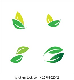 leaf logo vector illustration  design template
