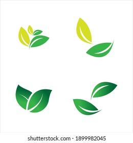 leaf logo vector illustration  design template