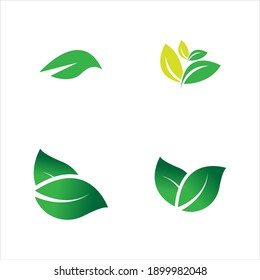 leaf logo vector illustration  design template