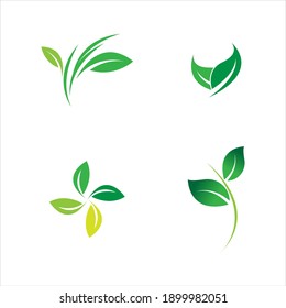leaf logo vector illustration  design template