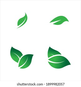 leaf logo vector illustration  design template