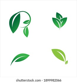 leaf logo vector illustration  design template