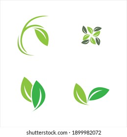 leaf logo vector illustration  design template