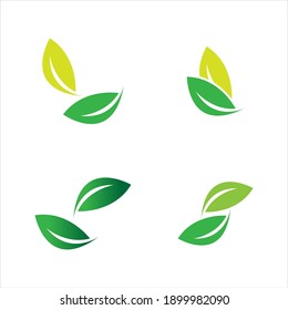 leaf logo vector illustration  design template