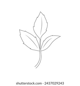 leaf logo vector illustration design