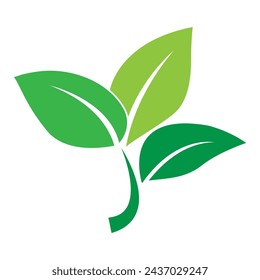 leaf logo vector illustration design