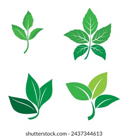 leaf logo vector illustration design