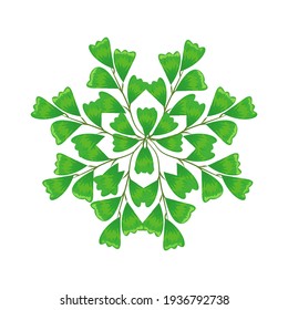 Leaf logo vector illustration, leaf symbol, green leaves in spring