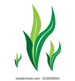 leaf logo vector ilustration design and template