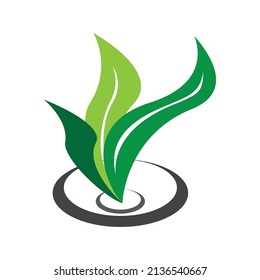 leaf logo vector ilustration design and template