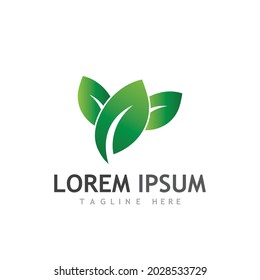 leaf logo and vector images