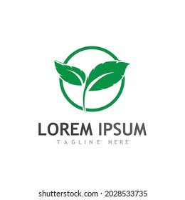 leaf logo and vector images