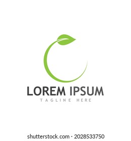 leaf logo and vector images
