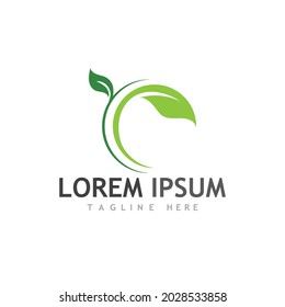 leaf logo and vector images