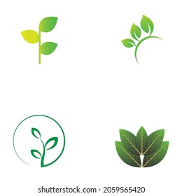 leaf logo and vector images 