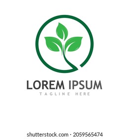 leaf logo and vector images 