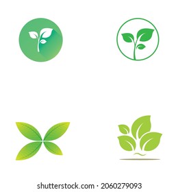 leaf logo and vector images