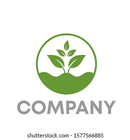 Hydroponic Plant Processing System Logos Stock Vector (Royalty Free ...