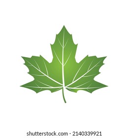 leaf logo vector symbol template design and icon