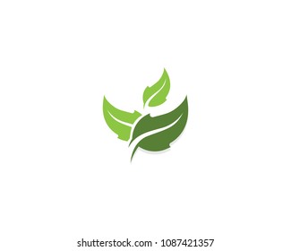 Leaf Logo vector and symbols