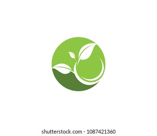 Leaf Logo vector and symbols