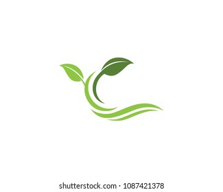 Leaf Logo vector and symbols