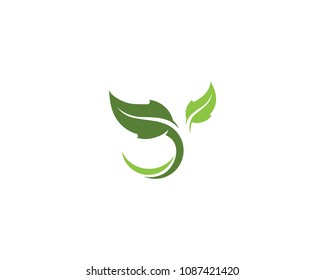 Leaf Logo vector and symbols