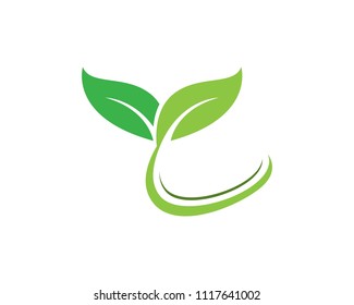 Vectores y símbolos de logotipos de hoja