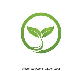 Leaf Logo vector and symbols