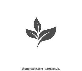 Leaf logo vector template