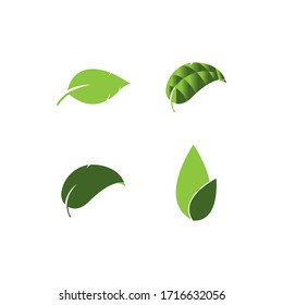 leaf logo vector template design illustration