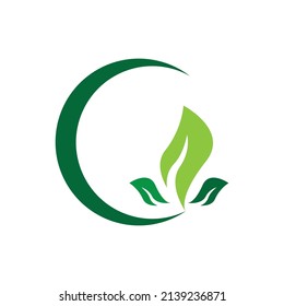 leaf logo vector template design and icon