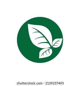leaf logo vector template design and icon