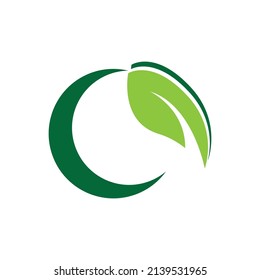 leaf logo vector template symbol and design icon