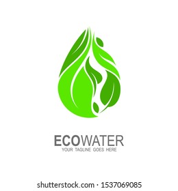 Leaf logo and water drop icon template, Water drop Logo Template vector illustration design