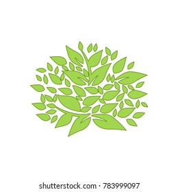 Leaf logo.modern template design.vector icon illustration - Vector