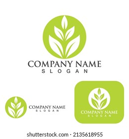 leaf  Logos of green Tree ecology nature element vector