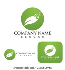 leaf  Logos of green Tree ecology nature element vector