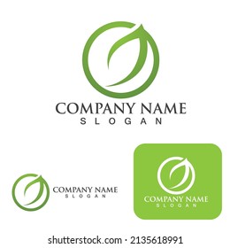 leaf  Logos of green Tree ecology nature element vector