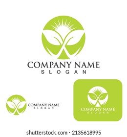 leaf  Logos of green Tree ecology nature element vector