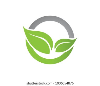 Leaf logos symbols template