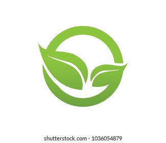 Leaf logos symbols template