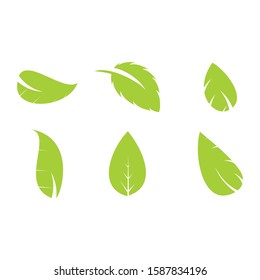 Leaf logos,leaf icons , ecology nature element.vector.