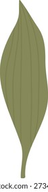 Leaf with long pointed shape and subtle veins, drawn with clean contours and smooth curves. Symbol of nature, growth, freshness, and eco purity. Cartoon vector illustration.