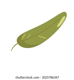 jardín de árbol verde de mango de hoja